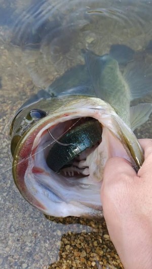 hideup 久次米良信 ブログ写真 2021/04/09