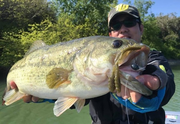 hideup 久次米良信 ブログ写真 2021/04/12