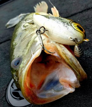 hideup 久次米良信 ブログ写真 2021/05/01