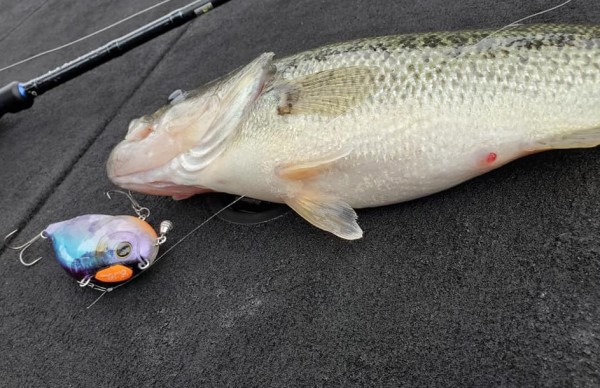 hideup 久次米良信 ブログ写真 2021/05/01