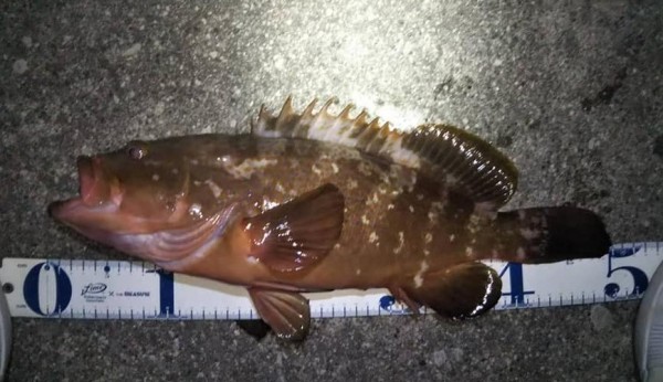 hideup 久次米良信 ブログ写真 2021/05/06