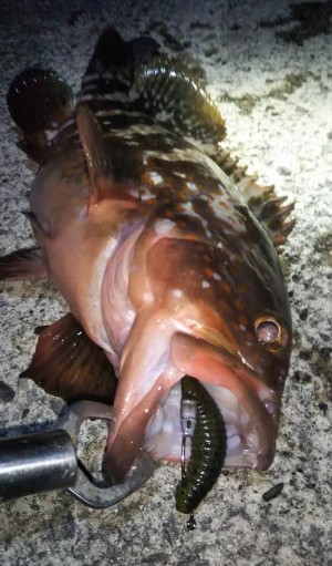 hideup 久次米良信 ブログ写真 2021/05/06