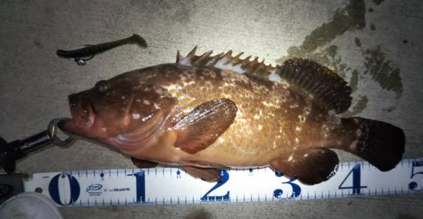 hideup 久次米良信 ブログ写真 2021/05/14