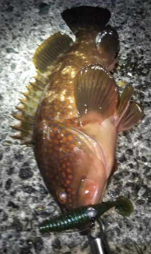 hideup 久次米良信 ブログ写真 2021/05/14