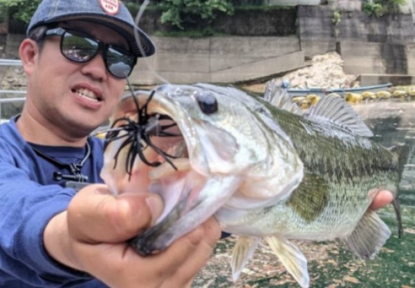 hideup 久次米良信 ブログ写真 2021/06/07