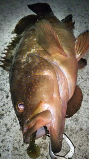 hideup 久次米良信 ブログ写真 2021/06/08