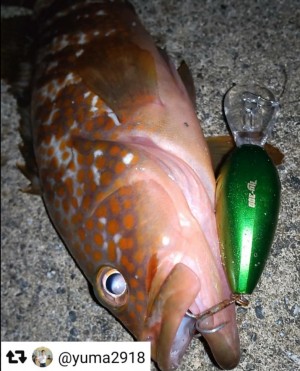 hideup 久次米良信 ブログ写真 2021/07/01