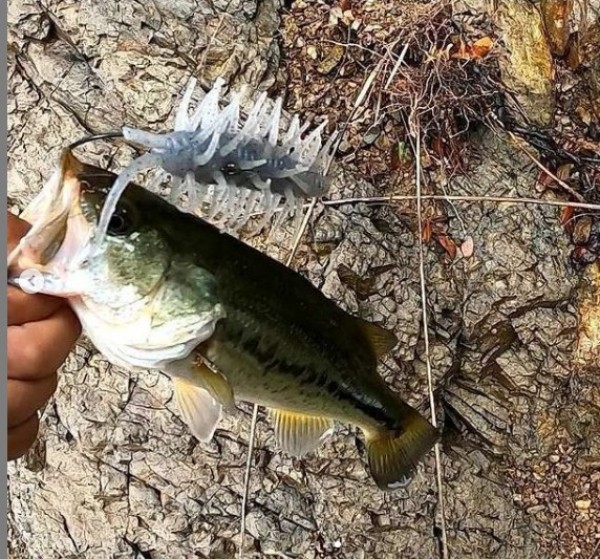 hideup 久次米良信 ブログ写真 2021/09/02