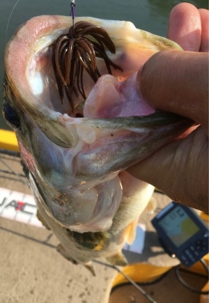 hideup 松本泰明 ブログ写真 2017/04/19