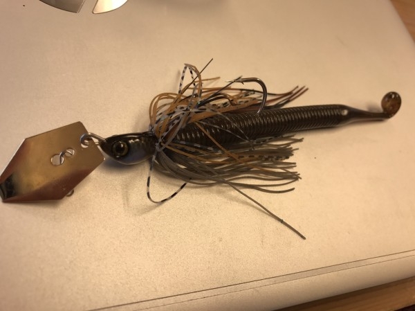 hideup 松本泰明 ブログ写真 2017/06/05