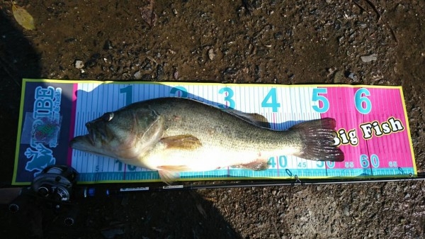 hideup 松本泰明 ブログ写真 2017/04/24