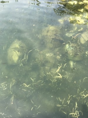 hideup 松本泰明 ブログ写真 2017/05/23