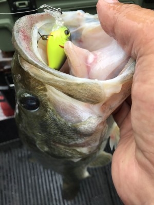 hideup 松本泰明 ブログ写真 2017/07/10