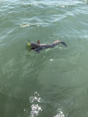 hideup 松本泰明 ブログ写真 2017/06/03