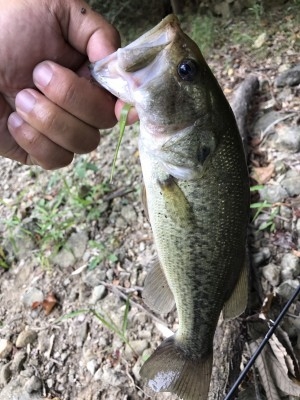 hideup 松本泰明 ブログ写真 2017/08/29