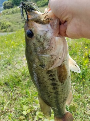 hideup 松本泰明 ブログ写真 2017/04/29