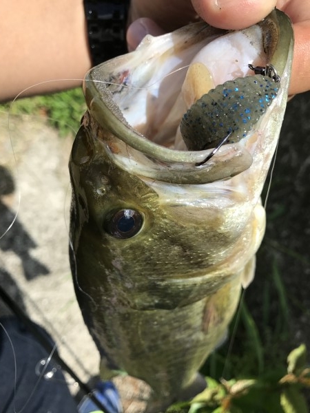 hideup 松本泰明 ブログ写真 2017/05/04