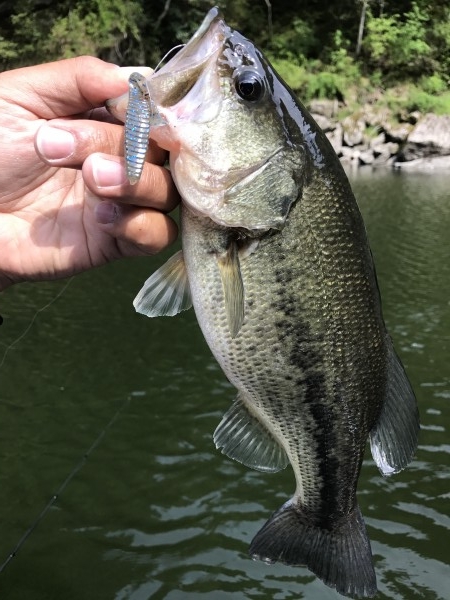 hideup 松本泰明 ブログ写真 2017/05/02
