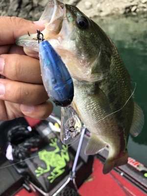 hideup 松本泰明 ブログ写真 2017/08/10