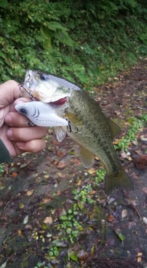 hideup 松本泰明 ブログ写真 2017/11/02