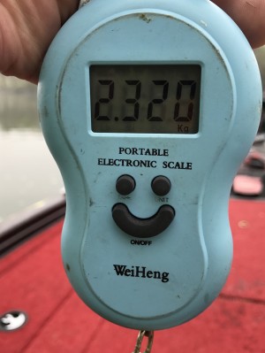 hideup 譚ｾ譛ｬ豕ｰ譏 繝悶&Omicron;繧ｰ蜀咏悄 2017/04/09