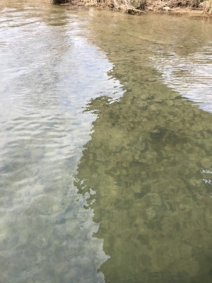 hideup 松本泰明 ブログ写真 2017/03/07