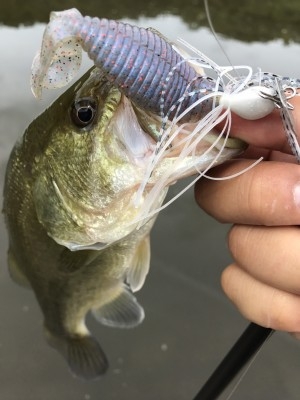 hideup 松本泰明 ブログ写真 2017/09/15