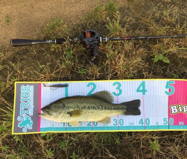 hideup 松本泰明 ブログ写真 2017/05/22