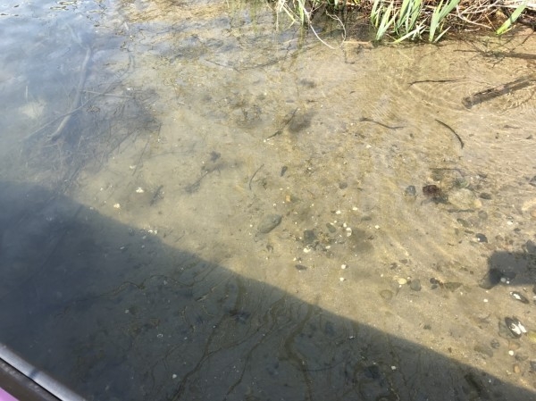 hideup 松本泰明 ブログ写真 2017/04/04