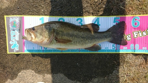 hideup 松本泰明 ブログ写真 2017/06/19