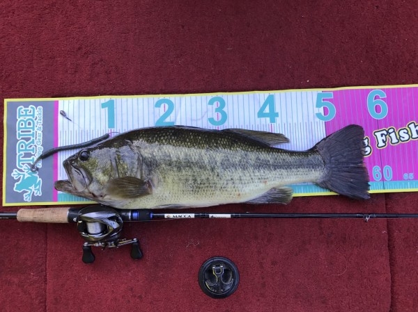 hideup 松本泰明 ブログ写真 2017/08/03