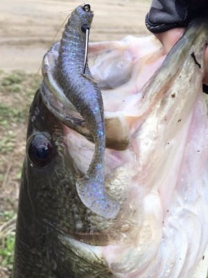 hideup 松本泰明 ブログ写真 2017/04/02