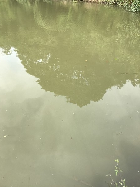 hideup 松本泰明 ブログ写真 2017/09/19