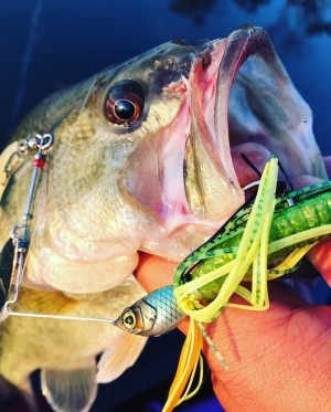 hideup 松本泰明 ブログ写真 2017/11/16