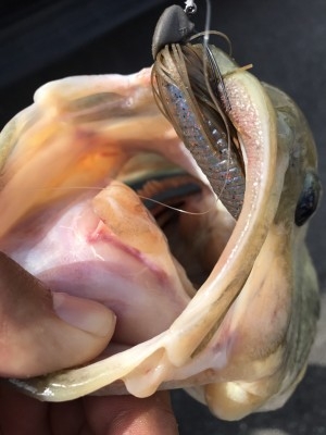 hideup 松本泰明 ブログ写真 2017/09/14