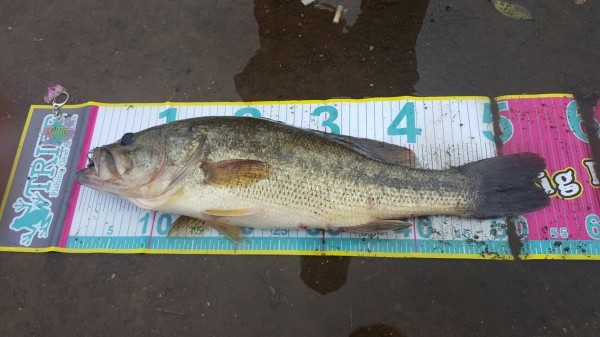 hideup 松本泰明 ブログ写真 2017/04/26