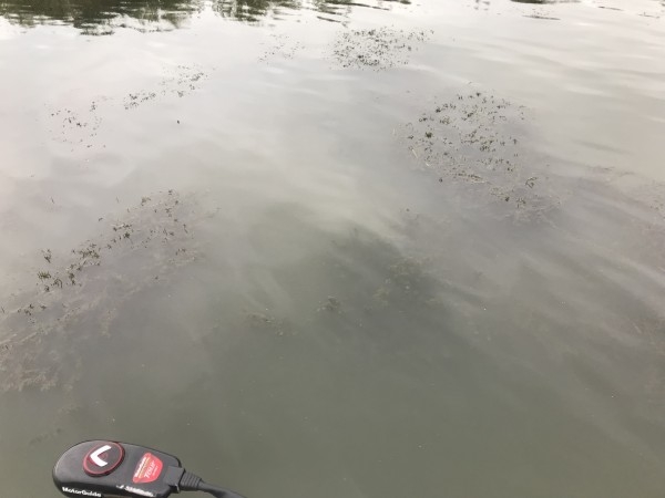 hideup 松本泰明 ブログ写真 2017/10/05