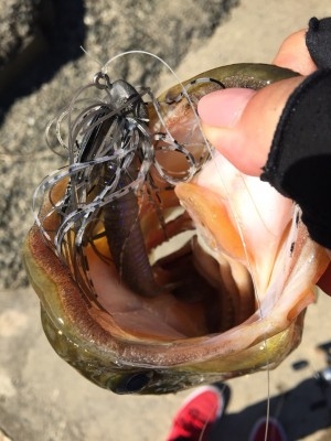 hideup 松本泰明 ブログ写真 2017/10/01