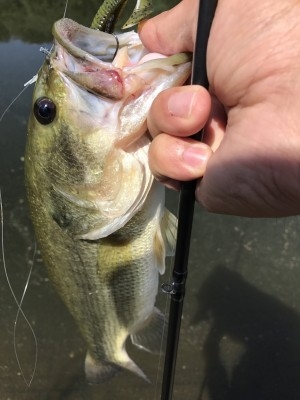 hideup 松本泰明 ブログ写真 2017/09/29