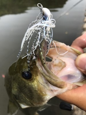 hideup 松本泰明 ブログ写真 2017/09/14