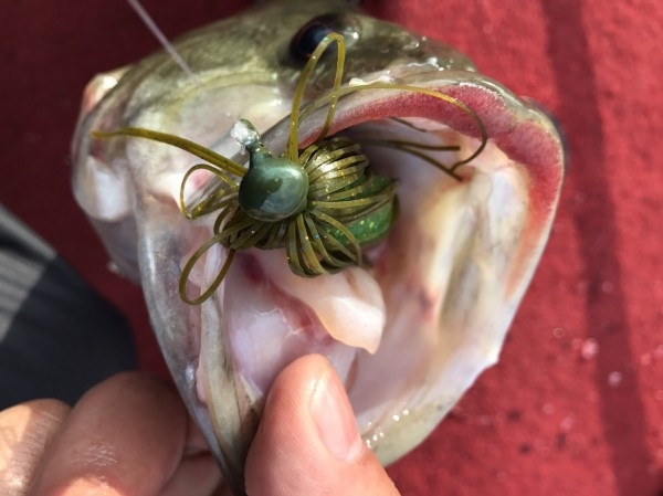 hideup 松本泰明 ブログ写真 2017/03/09