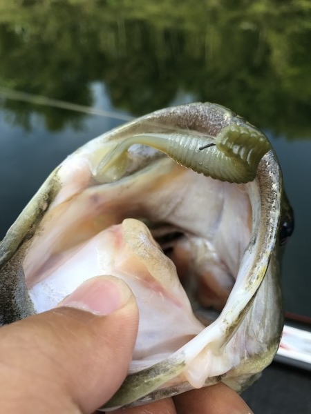 hideup 松本泰明 ブログ写真 2017/05/02