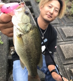 hideup 松本泰明 ブログ写真 2017/09/08