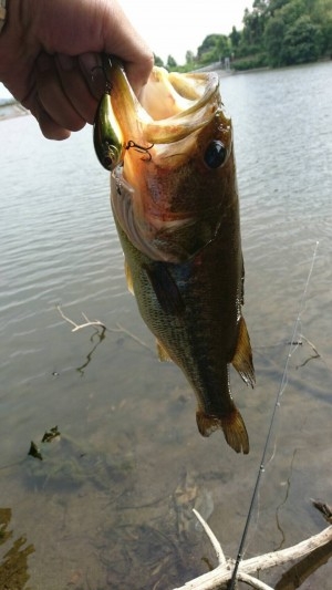 hideup 松本泰明 ブログ写真 2017/06/11