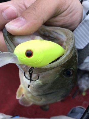 hideup 松本泰明 ブログ写真 2017/11/08