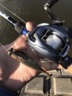 hideup 松本泰明 ブログ写真 2017/02/07