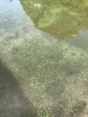 hideup 松本泰明 ブログ写真 2017/10/03