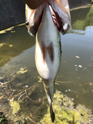 hideup 松本泰明 ブログ写真 2017/04/28