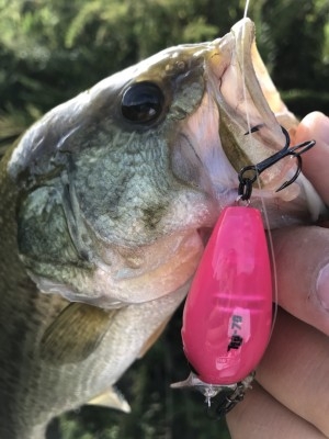 hideup 松本泰明 ブログ写真 2017/10/04