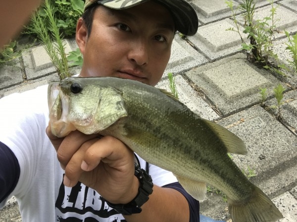 hideup 松本泰明 ブログ写真 2017/08/22